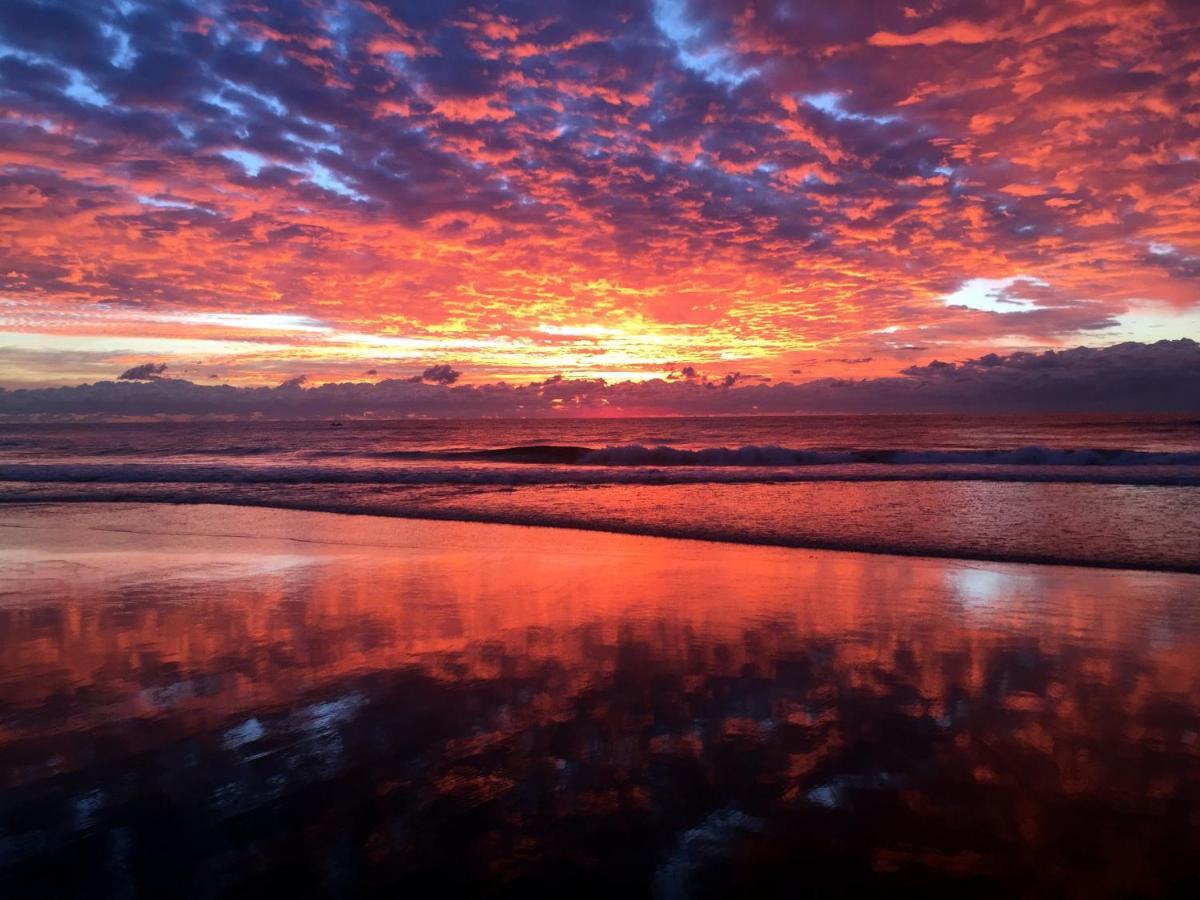 Beachside/ Paradise Best Views Gold Coast Esterno foto