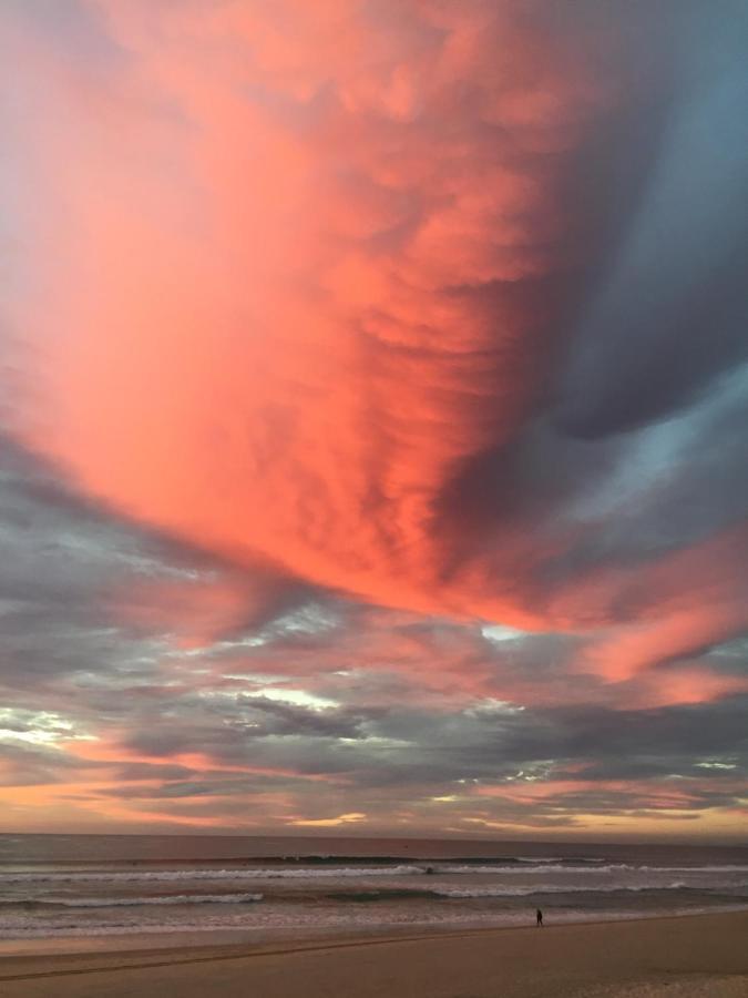 Beachside/ Paradise Best Views Gold Coast Esterno foto